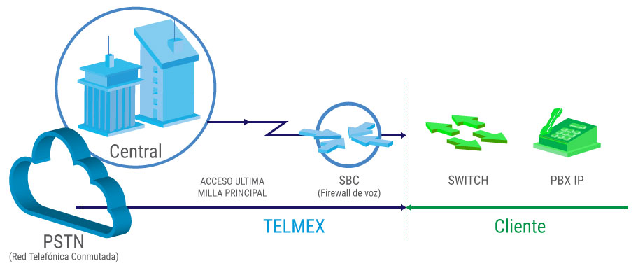 Troncal Ip Telmex 8941